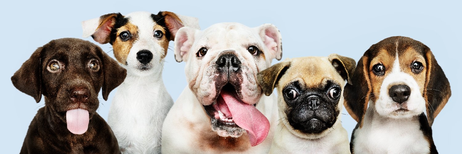 WiskrPets's profile banner image