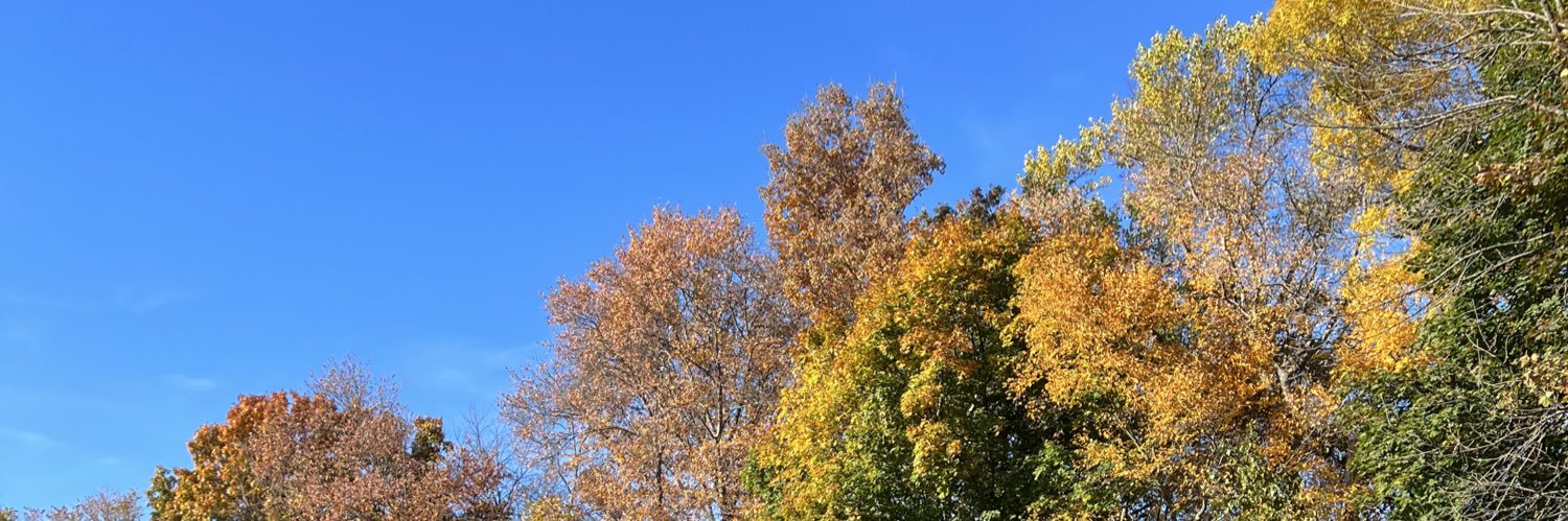 joshkimerling's profile banner image