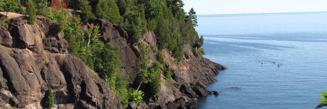 Mind of freedom banner