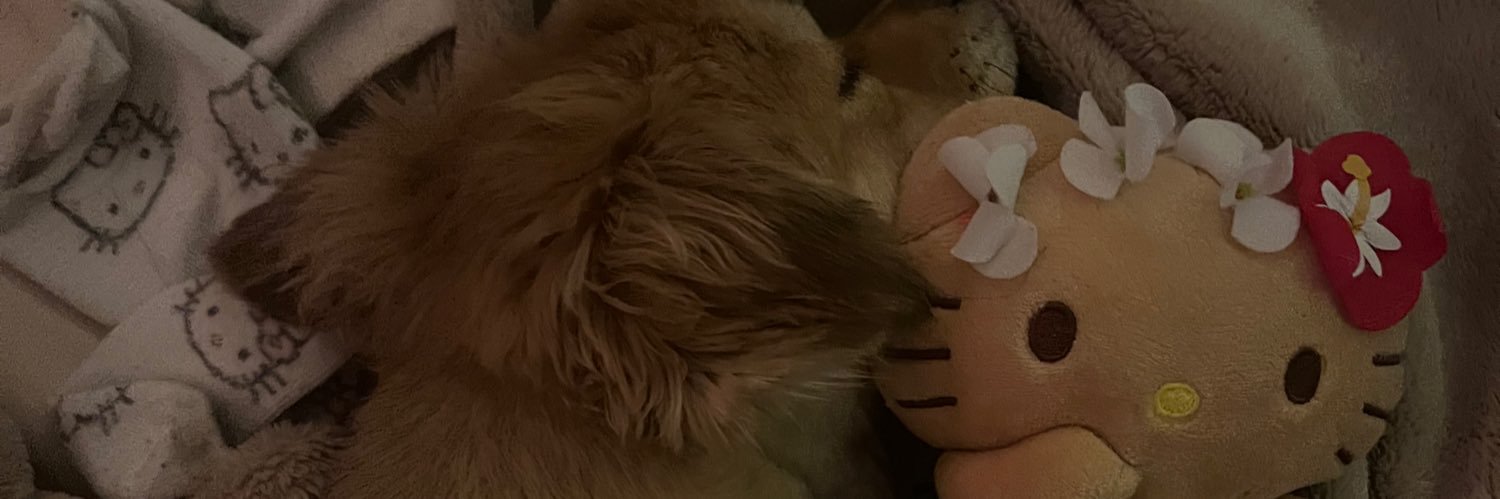 aylenexx's profile banner image