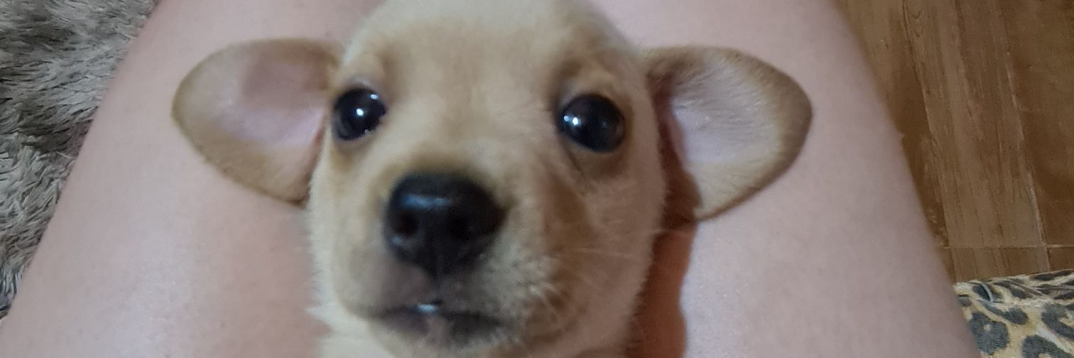 CarBenitez96's profile banner image