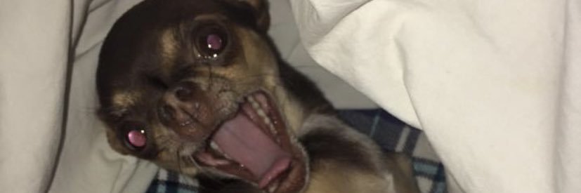 Amanda McClure banner