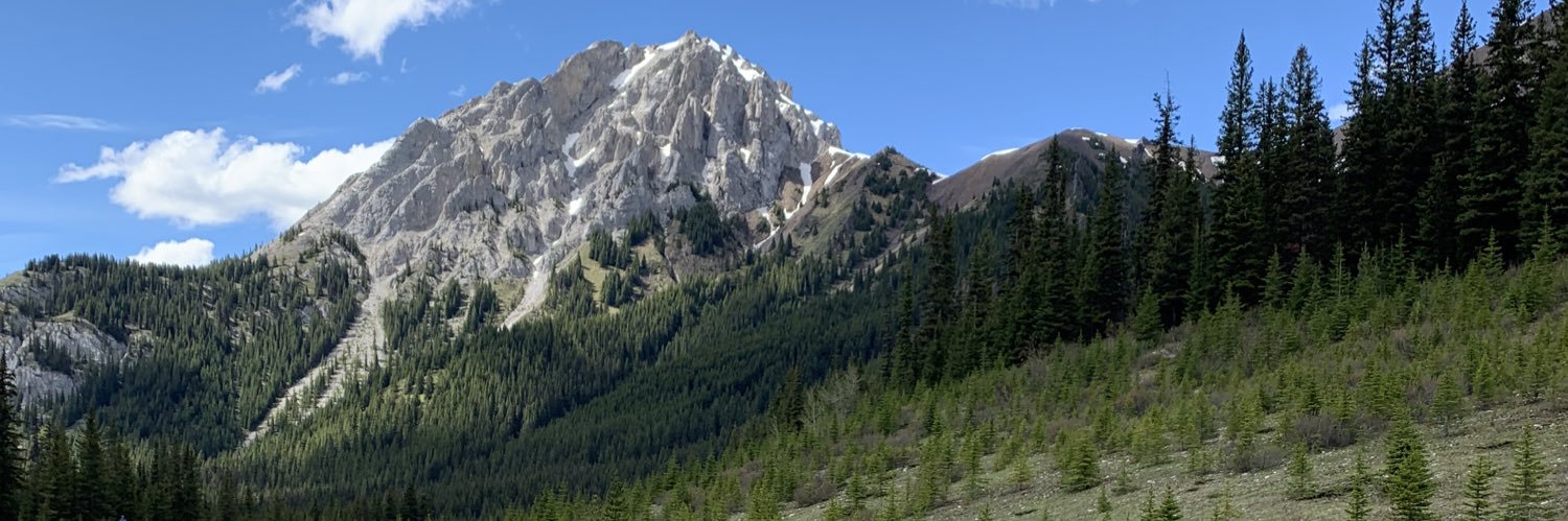 Martha McCabe banner