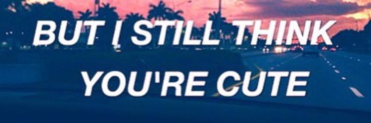 llamallover1's profile banner image