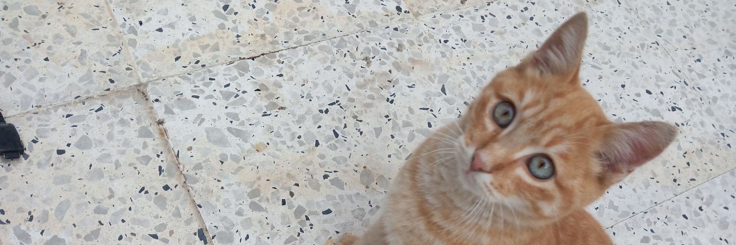 AIMENAIMENRMA's profile banner image