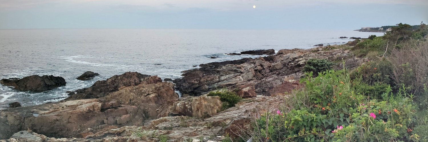 Gary P. Antigiovanni banner