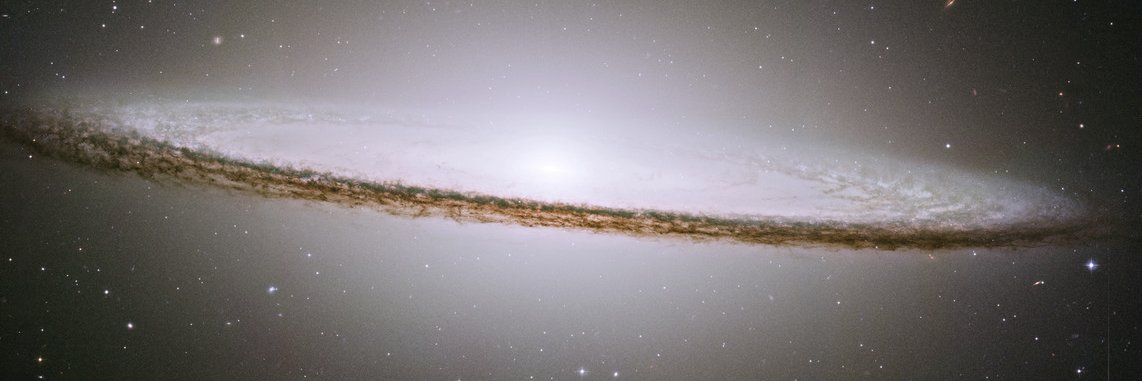 DeepSeaZamzow's profile banner image