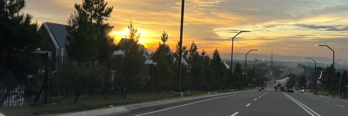 purecocoapuddin's profile banner image