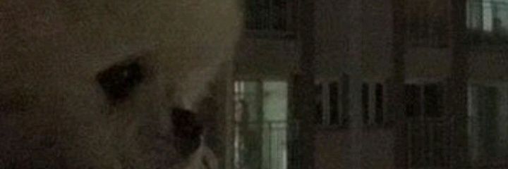 MD.mich banner