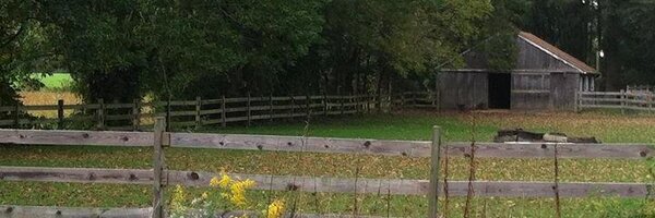 MrArenge Profile Banner