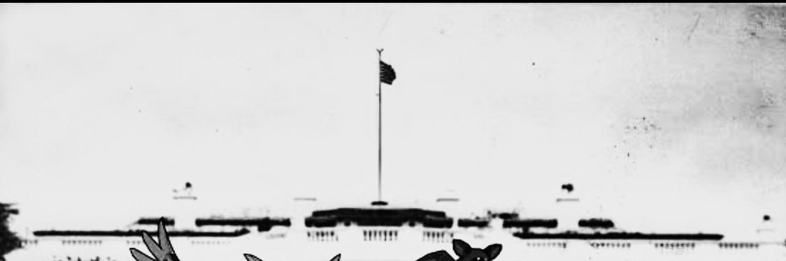 SOADERCR's profile banner image