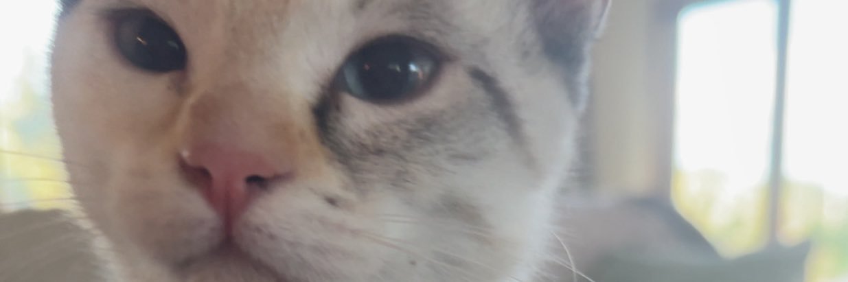 emdeldek's profile banner image