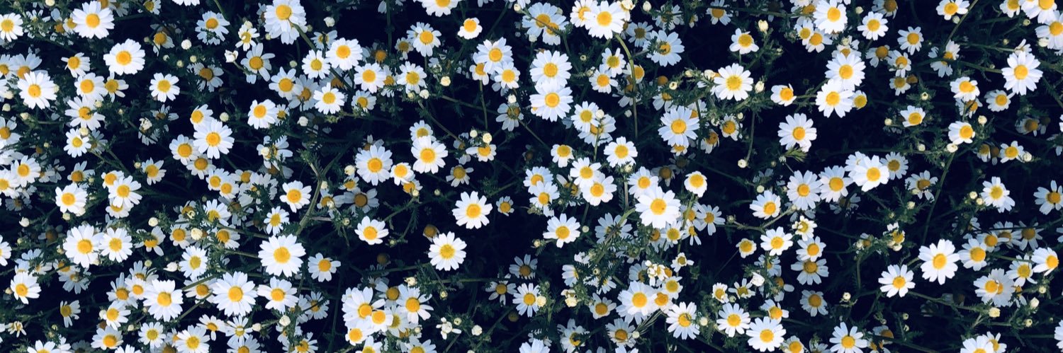martaroscod's profile banner image