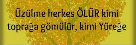 Deniz & Çınar banner