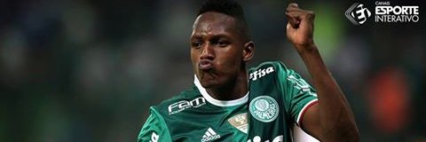 Ingrid Avanti Palestra🇧🇷🙏🏾🇮🇱🐷💚 banner