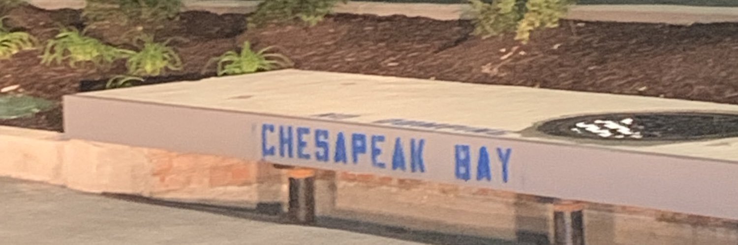 Cockadoodle Boo ♥️'s banner