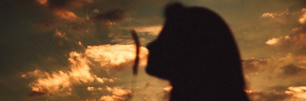 apriyaNISA's profile banner image
