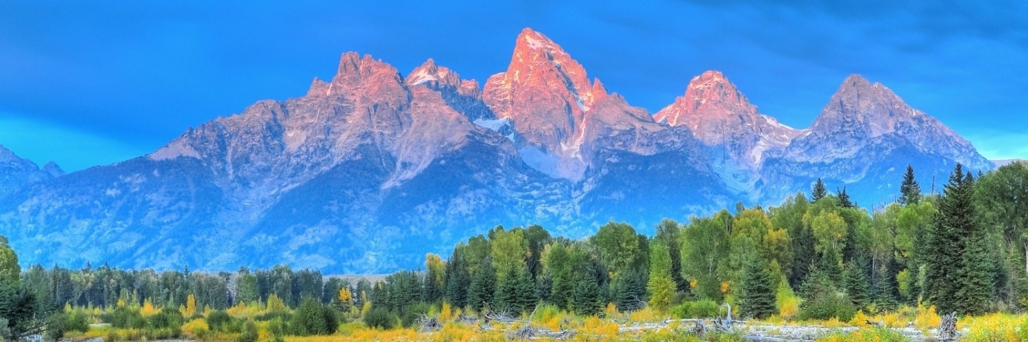 TylerMielke44's profile banner image