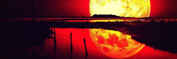 moonlite_dark Profile Banner