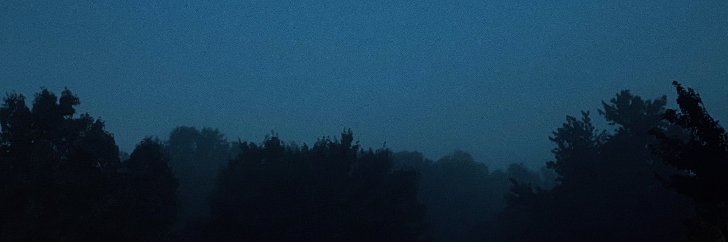dividualist's profile banner image