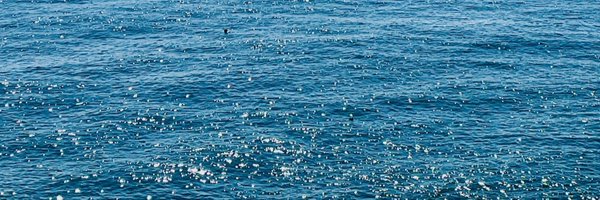 babdae00 Profile Banner