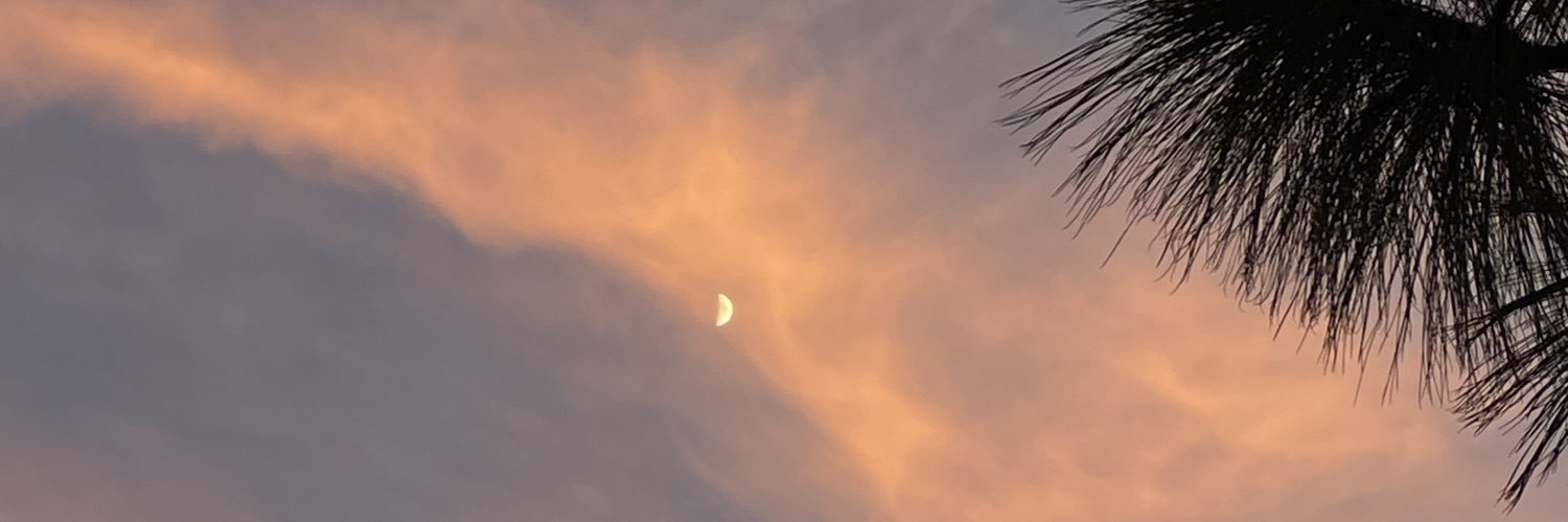 ring_pao's profile banner image