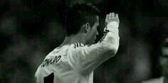 totillo_torrole's profile banner image