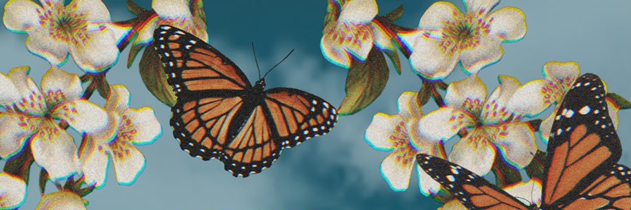 sstarlust's profile banner image