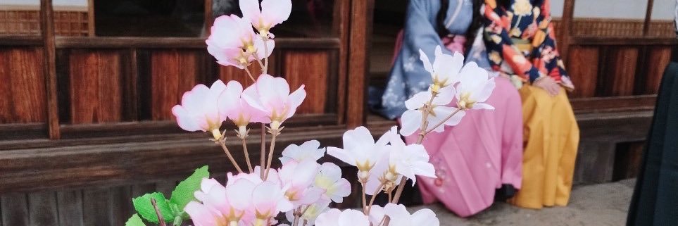 mikocha_yaaaa's profile banner image
