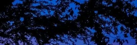 studntblgonline's profile banner image