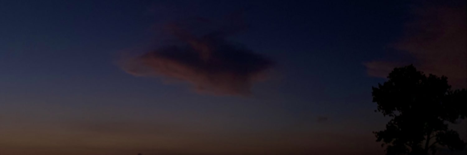 g33zoo's profile banner image