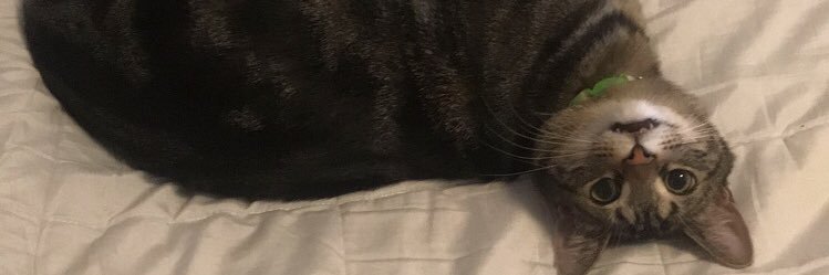 HicksEm1's profile banner image