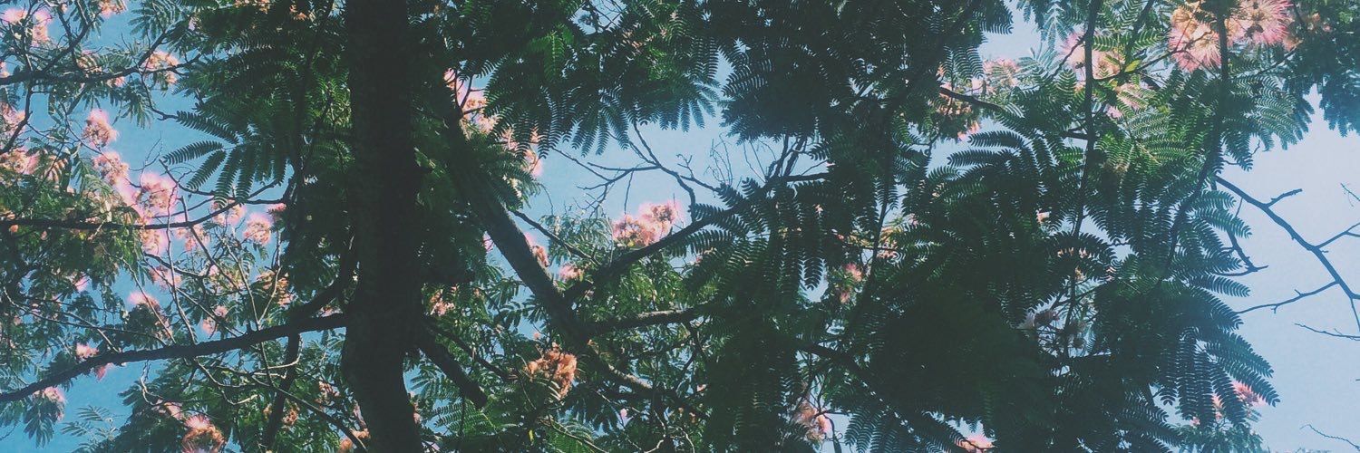 _Omarnv's profile banner image
