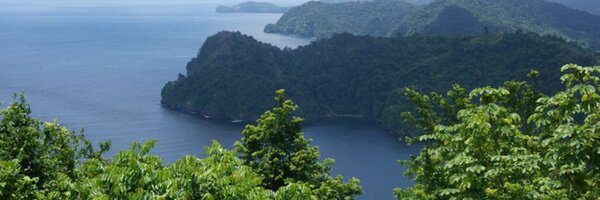 darrelladaniel Profile Banner