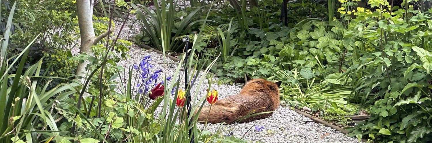 Kate Marshall banner