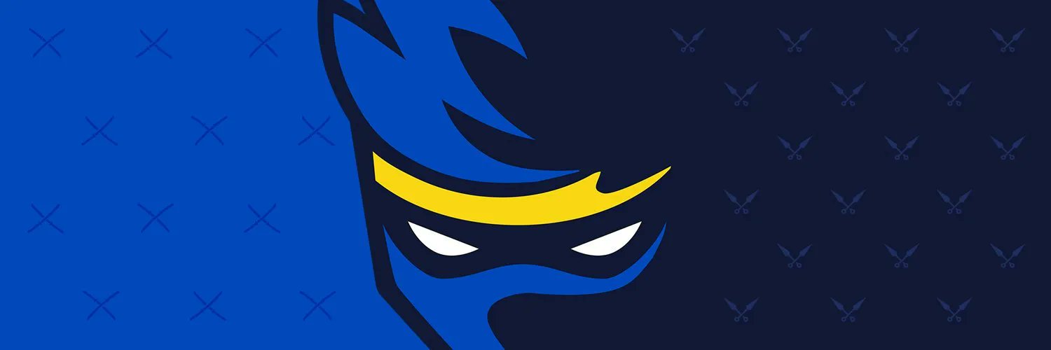 Ninja🥷 banner