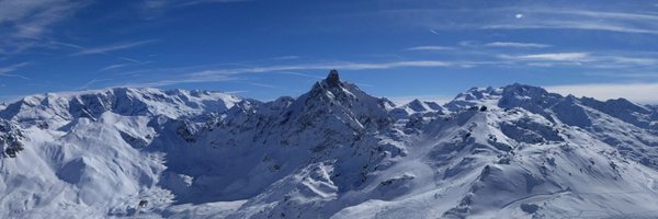 Bleuzaille Profile Banner