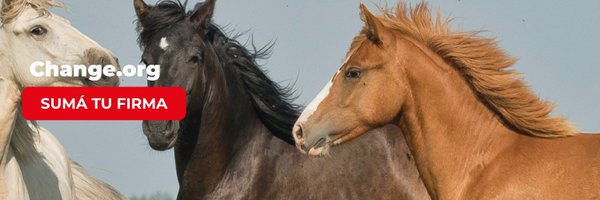 sintientesorg Profile Banner