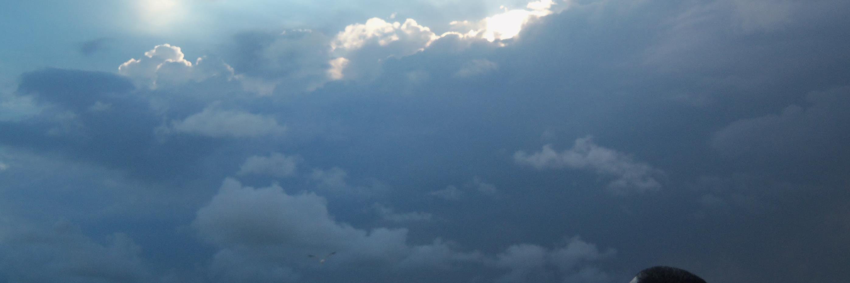 BCotlon's profile banner image