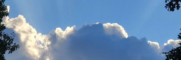 McCalebRoyer Profile Banner