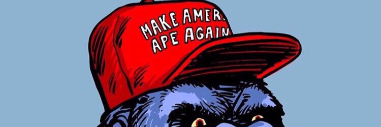 Curlitos Waze banner