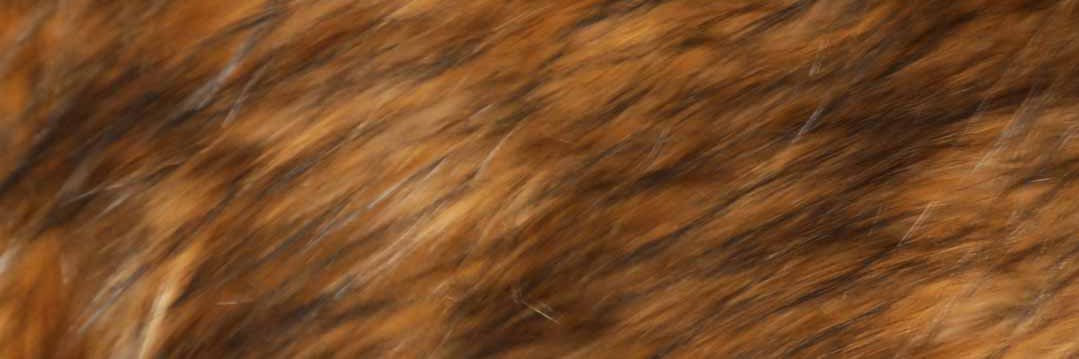 he4vykream's profile banner image