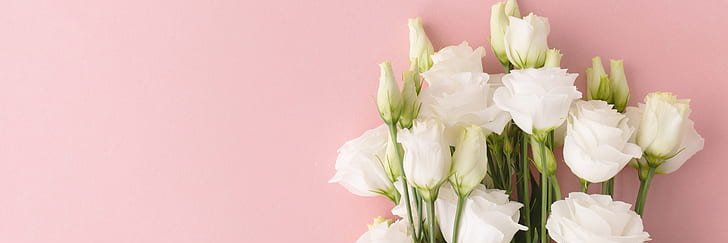 NovaHeny's profile banner image