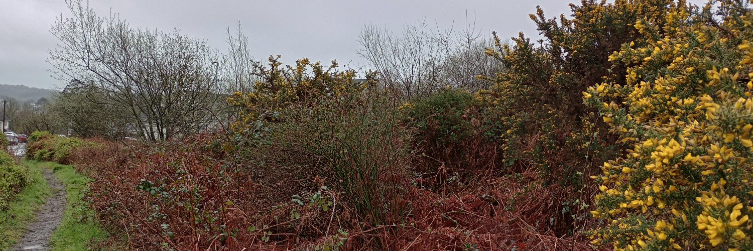 West Cross Common banner