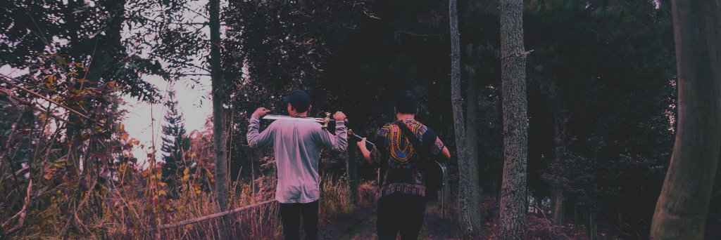 LIES banner