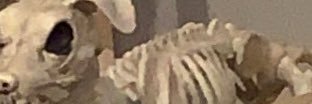 armydufflebag's profile banner image