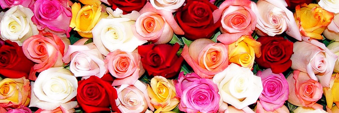Asia_IamShe's profile banner image