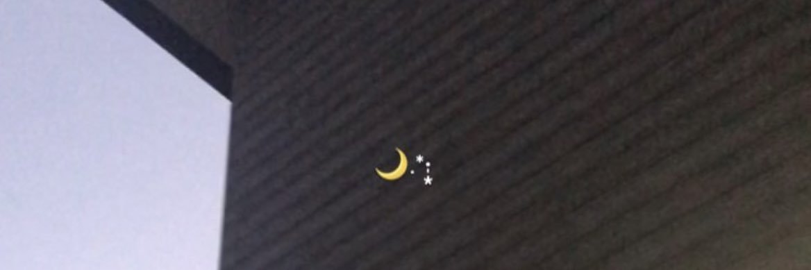 🌙⋆* banner