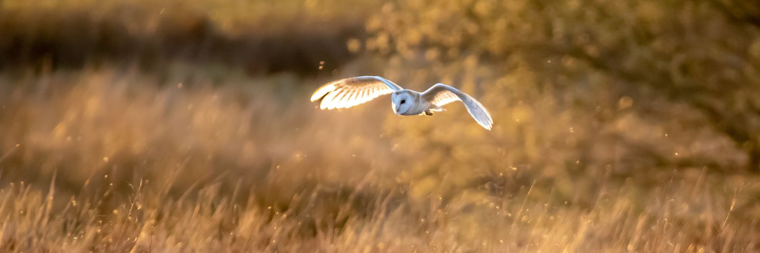 jwilkinsonpix's profile banner image