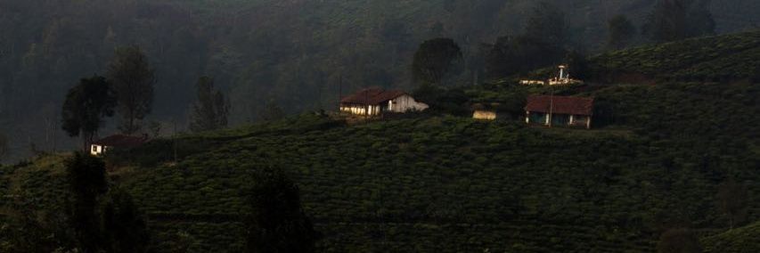 anitamahadevan's profile banner image